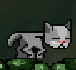 Play Cat Stretch