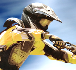 Play FMX Team 2