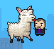 Play Llama in Your Face