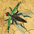 Play Mecharon