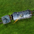 Play Rail of War